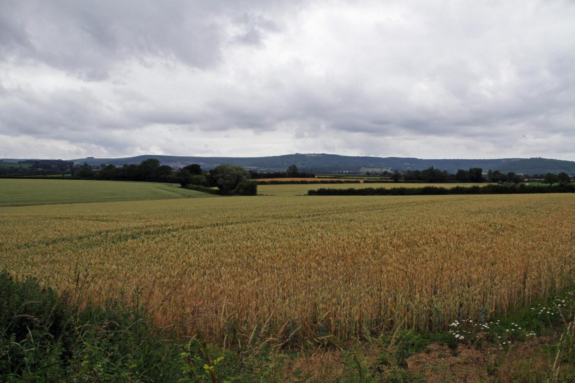Bagby Oyo White Horse Lodge Hotel, East Thirsk מראה חיצוני תמונה